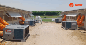Read more about the article Trane’s Impact: Cooling and Heating Solutions for Diverse Environments